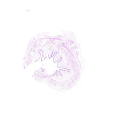 Human FFPE NAT Ureter Tissue HuN-10-0008