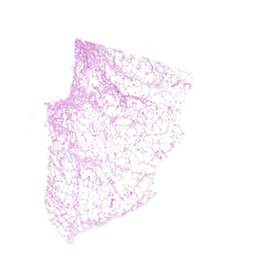 Human FFPE NAT Lung Tissue HuN-15-0133