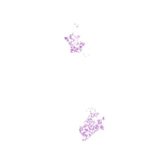 Human FFPE NAT Thyroid Tissue HuN-25-0018